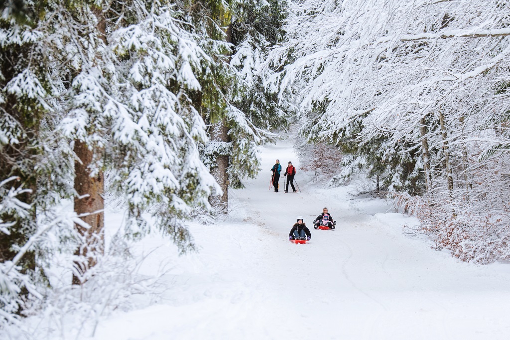Otto esperienze invernali da vivere in Dolomiti Paganella