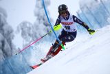 SL Levi, Martina Peterlini: 