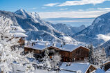 Sauris
