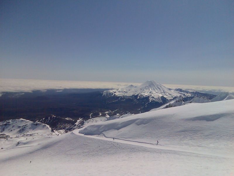 Whakapapa