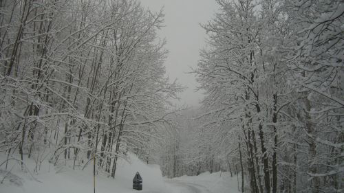 Garessio 2000. Le piste sul mare del colle Casotto