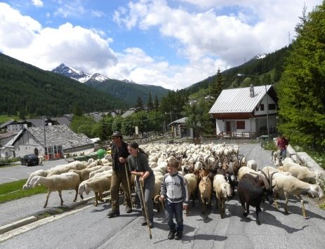 Pragelato la Perla Alpina