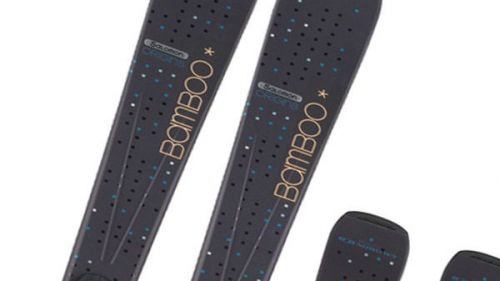 bamboo