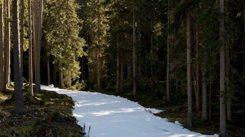 neve accumulata ridistribuita