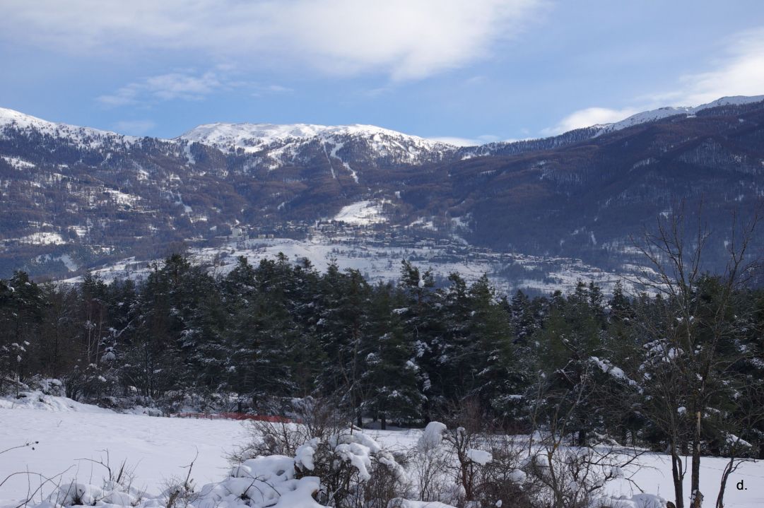 Sauze d'Oulx vista da Signols_Oulx (To) - 03.01.2014
https://www.flickr.com/photos/dcorag/sets/72157642891963463/show/