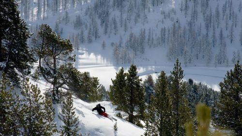 Freeride in Montgenèvre