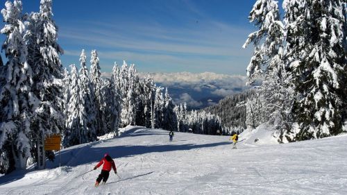 Piste del Rosengarten-Latemar