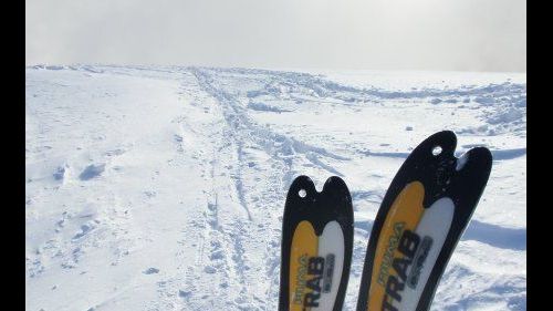 Ski Alp Val Rendena