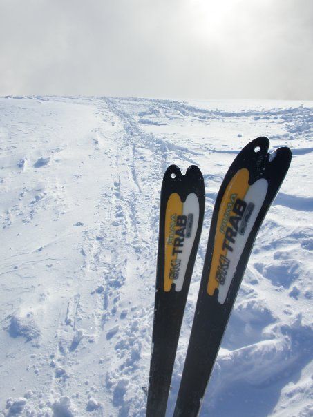 Ski Alp Val Rendena