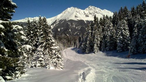 pista tra gli alberi a Borno