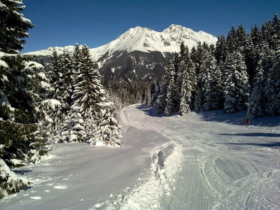 pista tra gli alberi a Borno