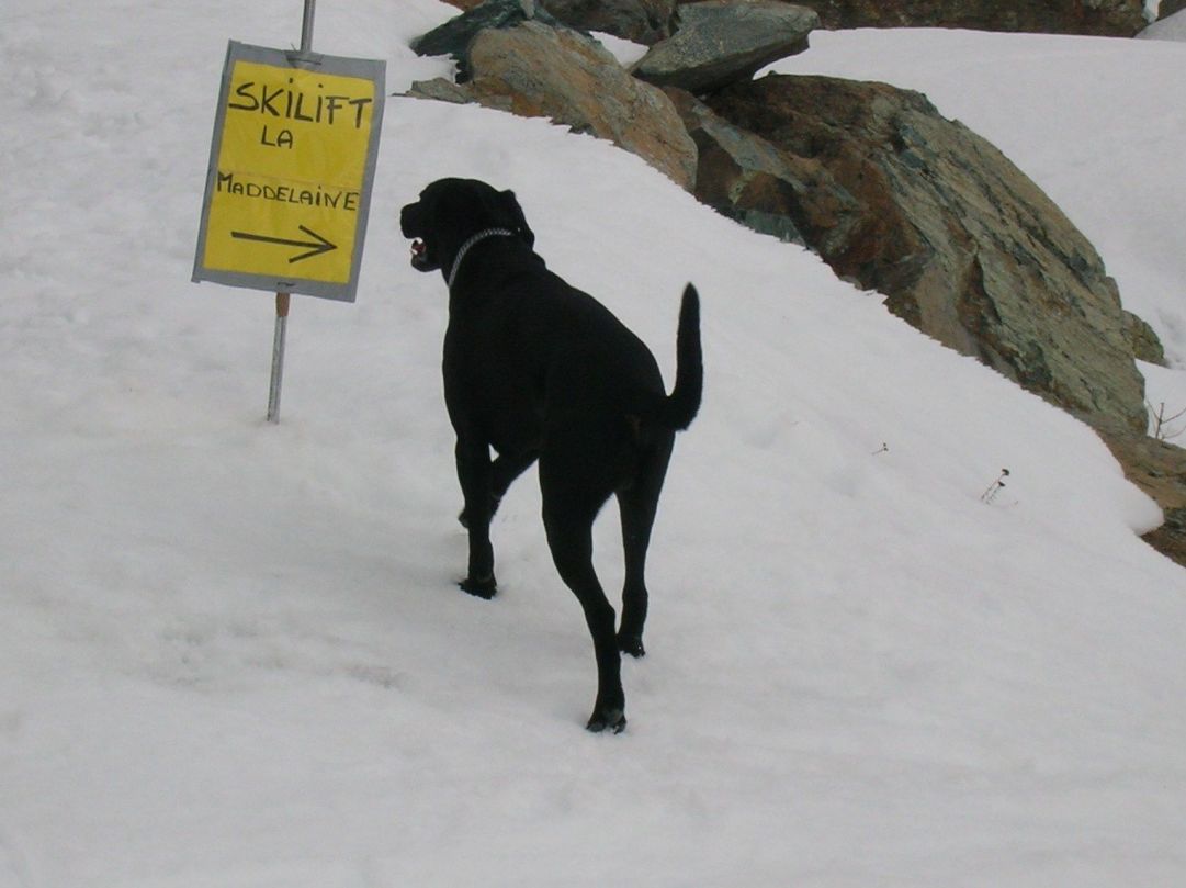 Lo skilift ...? meglio il sentiero battuto!