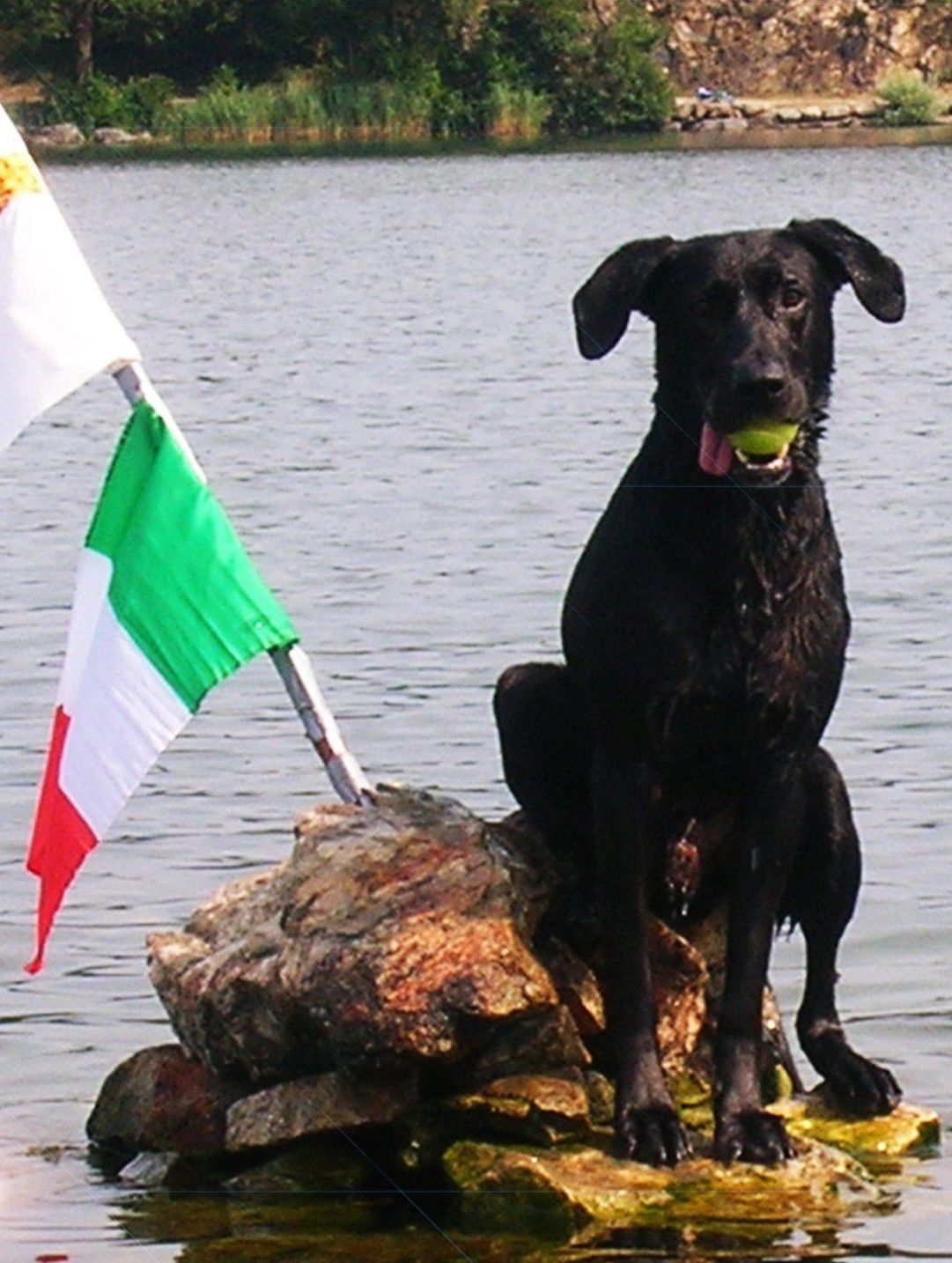 Ho attraversato a nuoto il lago Sirio fino all'isolotto