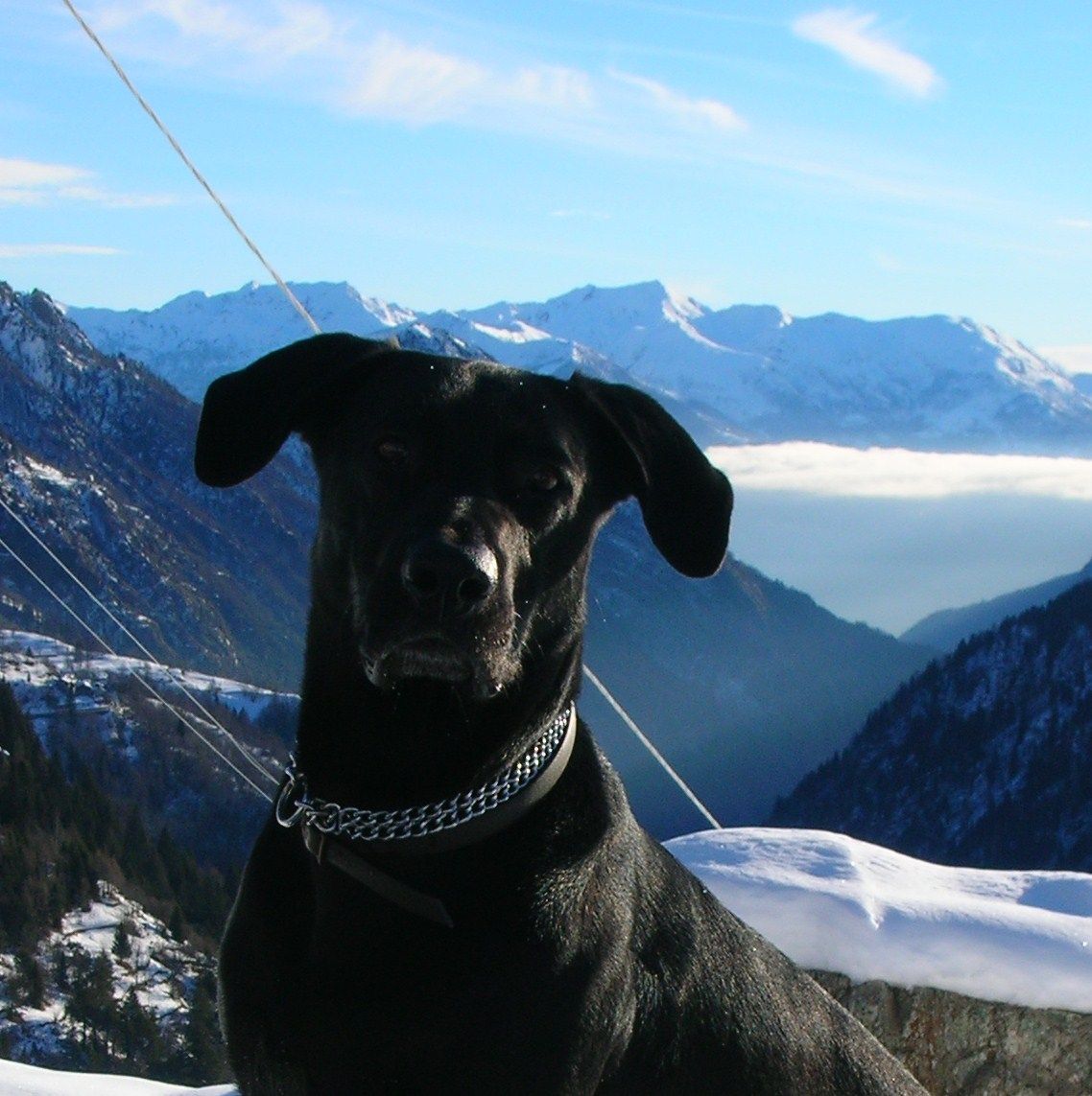 Sole a Mont Blanc di Champorcher