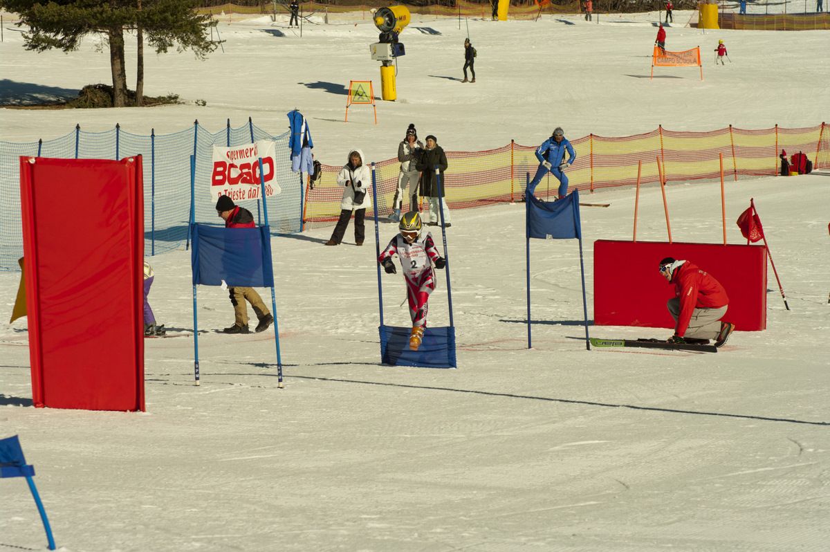 Foto della quinta edizione del Lussarissimo Young, una gara a staffetta sugli sci  che ha visto un centinaio di ragazzi in rappresentanza delle scuole del FVG, sfidarsi un un avvincente percorso sulla pista C di Tarvisio.