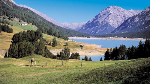 Lago S. Giacomo Valdidentro