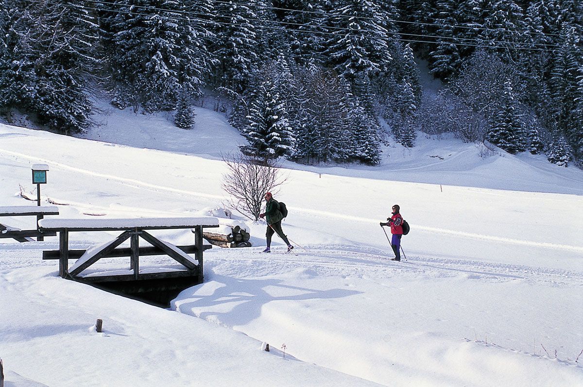 Inverno, sci di fondo