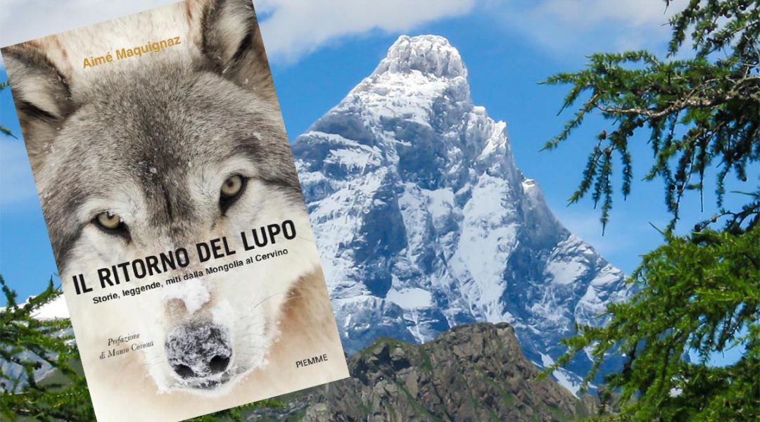 Il Ritorno del Lupo, il libro di Aimé Maquignaz presentato il 18 giugno a Roma