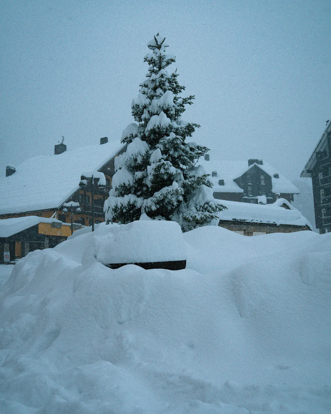 Prato Nevoso nevicata 16 dicembre 2025
