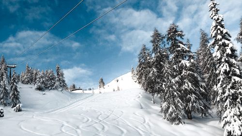 Alpe tognola   Innevamento al top