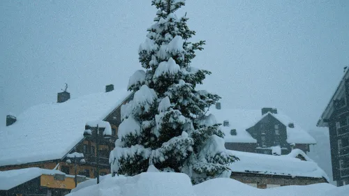 Inverno protagonista sulle Alpi: nevicate diffuse da Ovest a Est, accumuli importanti nel Cuneese