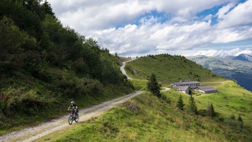 Monte Zoncolan bike FVG