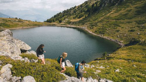 Pila trekking