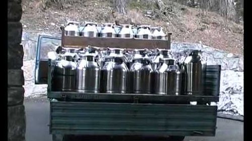 Fromagerie haut val d'ayas. come nasce il formaggio di montagna