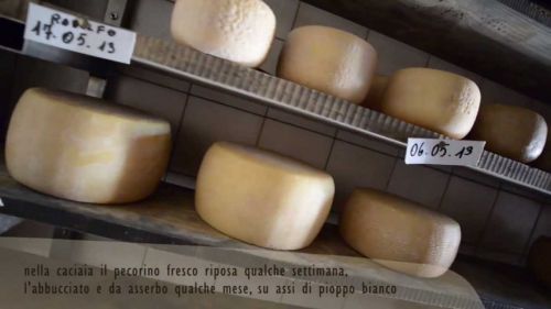 Presidio slow food del pecorino della montagna pistoiese