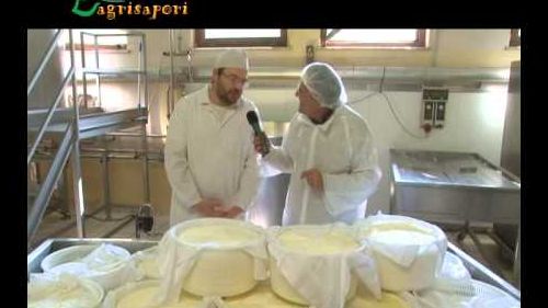 Formaggio castelmagno dop - valle grana piemonte