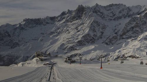 Cervinia oscurate