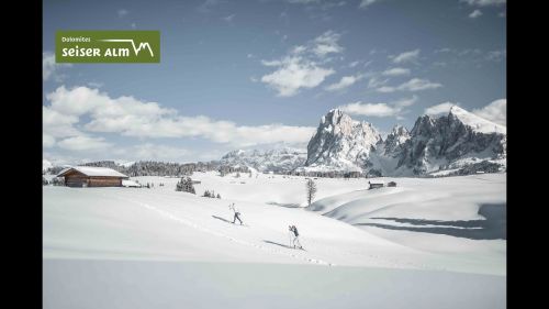 Cross-country skiing on the Seiser Alm, Europe’s largest mountain plateau