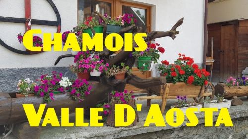 Un giorno destate in mezzo alla natura di Chamois Valle dAosta