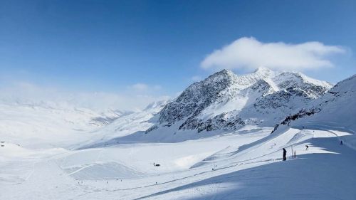 Primavera valsenales