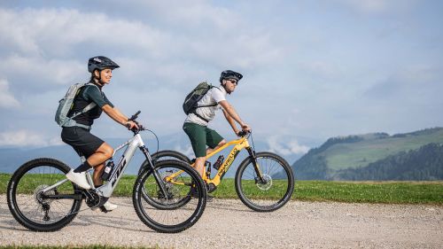 Wisthaler 25 08 funactive roda hw96457