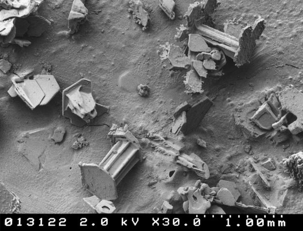 Agricultural Research Center di Beltsville (USA)
immagini di cristalli di fiocchi di neve al microscopio 
temperatura di -170°C.