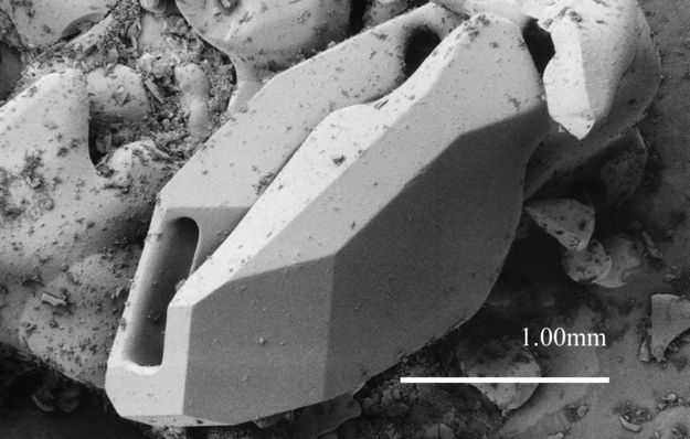 Agricultural Research Center di Beltsville (USA)
immagini di cristalli di fiocchi di neve al microscopio 
temperatura di -170°C.