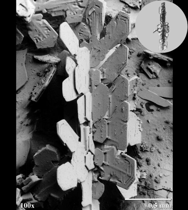 Agricultural Research Center di Beltsville (USA)
immagini di cristalli di fiocchi di neve al microscopio 
temperatura di -170°C.