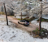 Nissan X-Trail 2024