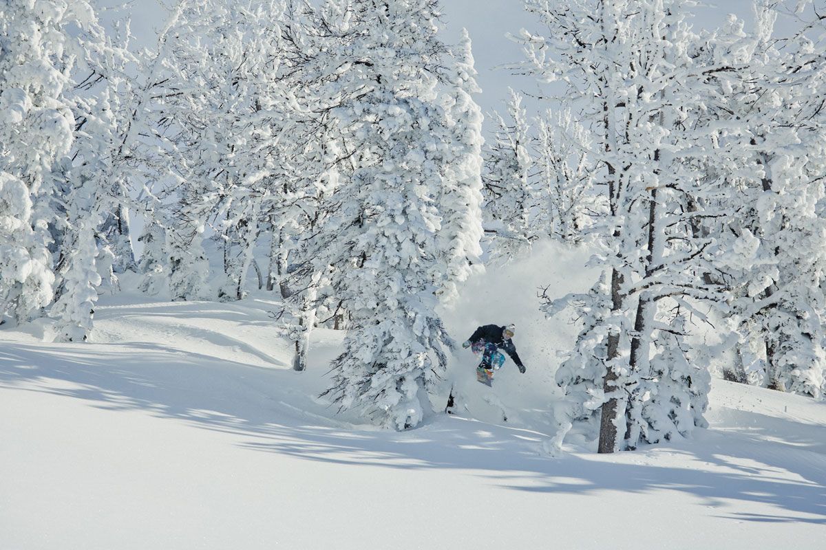 Jackson Hole, WY, USA January 6th, 2011
(c) Danny Zapalac or Scott Serfas /Red Bull Content Pool