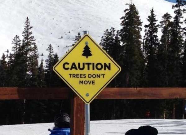 caution tree dont move