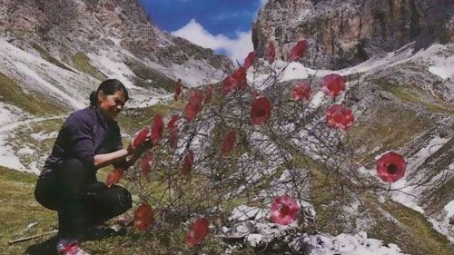 Dolomia art
