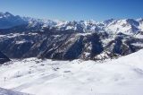 Chamois