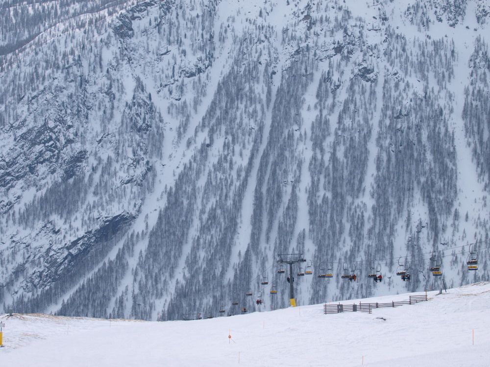 La seggiovia Testa Bassa con un mare di neve e boschi per sfondo.