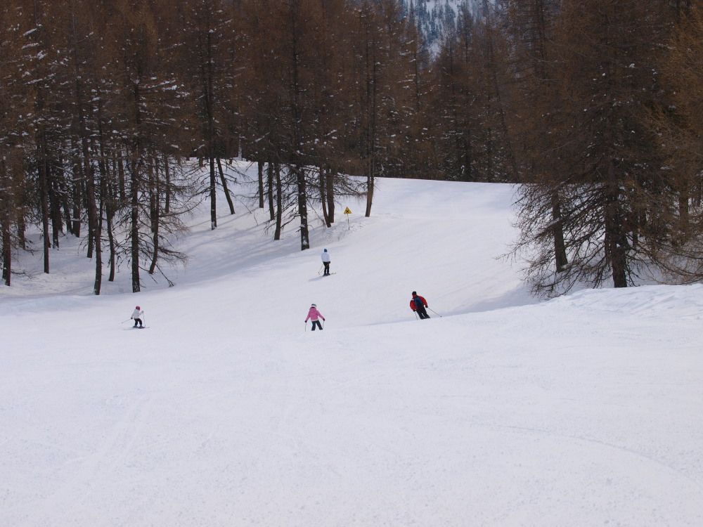 Si rientra nel bosco nella parte finale della Combette e della Piccolo Alpino.