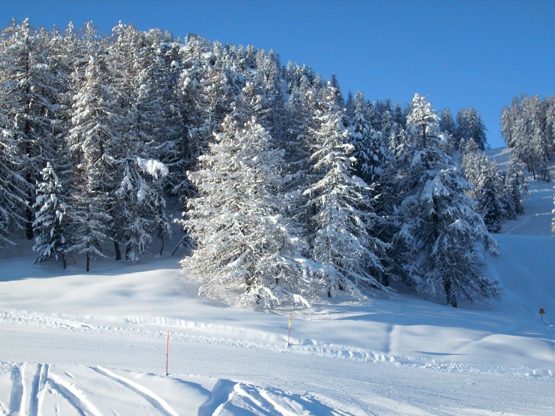 Foto scattata dall'impianto Grimondet di Pila.