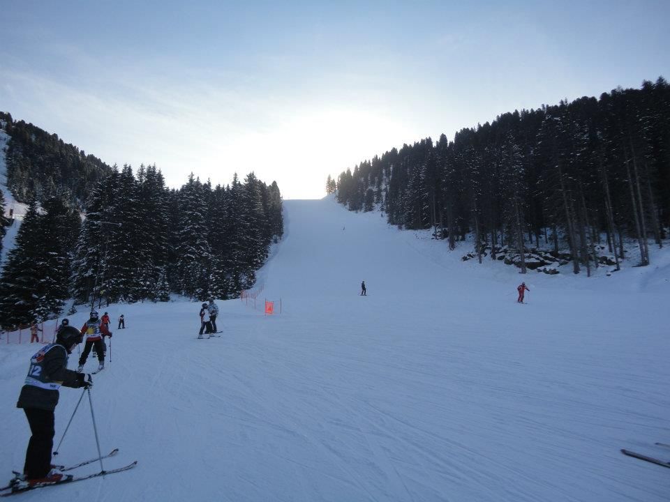 cermis