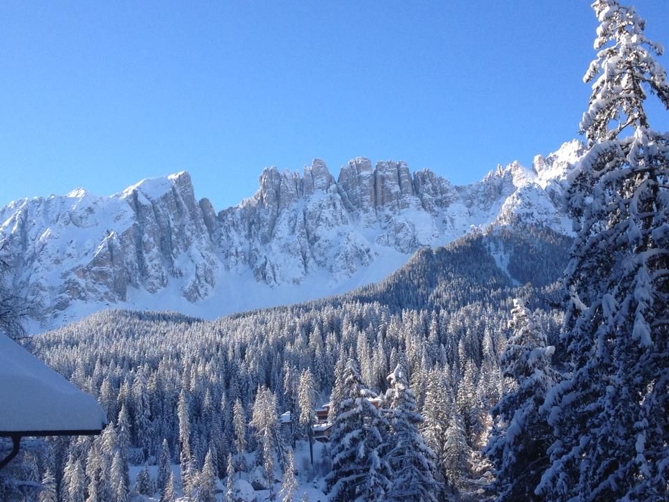 Catinaccio e conifere dolomiti