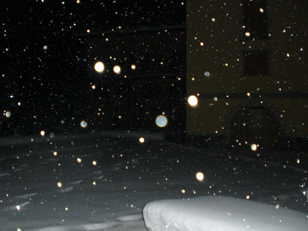 White dreams
