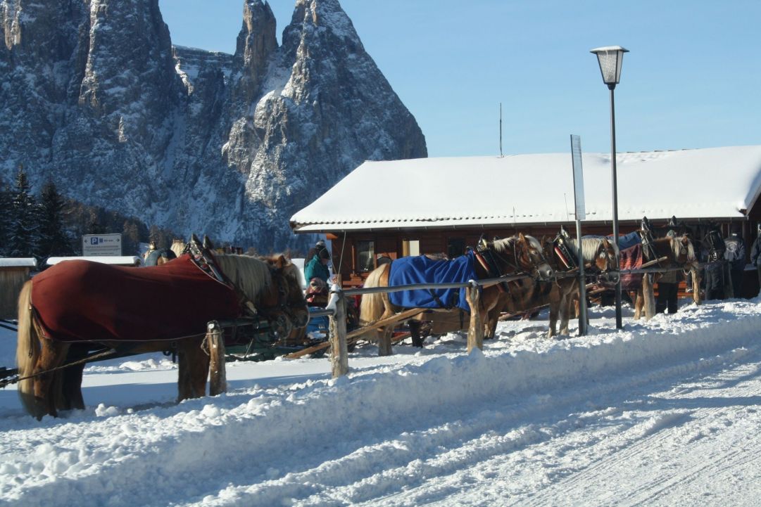 Alpe di Siusi